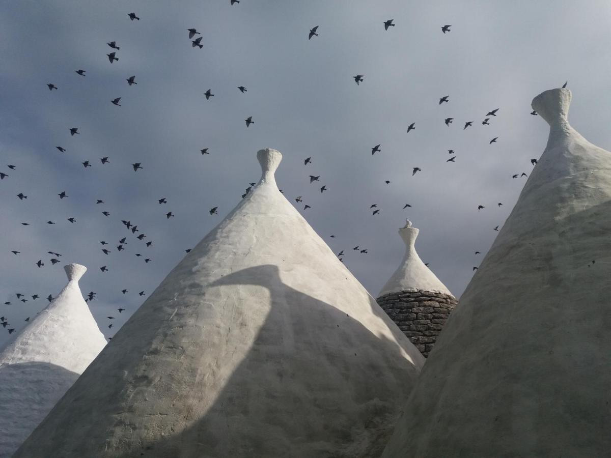 Trulli Di Puglia - Casa Vacanze In Valle D'Itria Мартина Франка Екстериор снимка