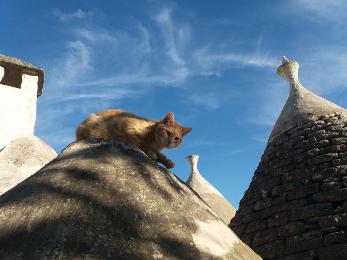 Trulli Di Puglia - Casa Vacanze In Valle D'Itria Мартина Франка Екстериор снимка