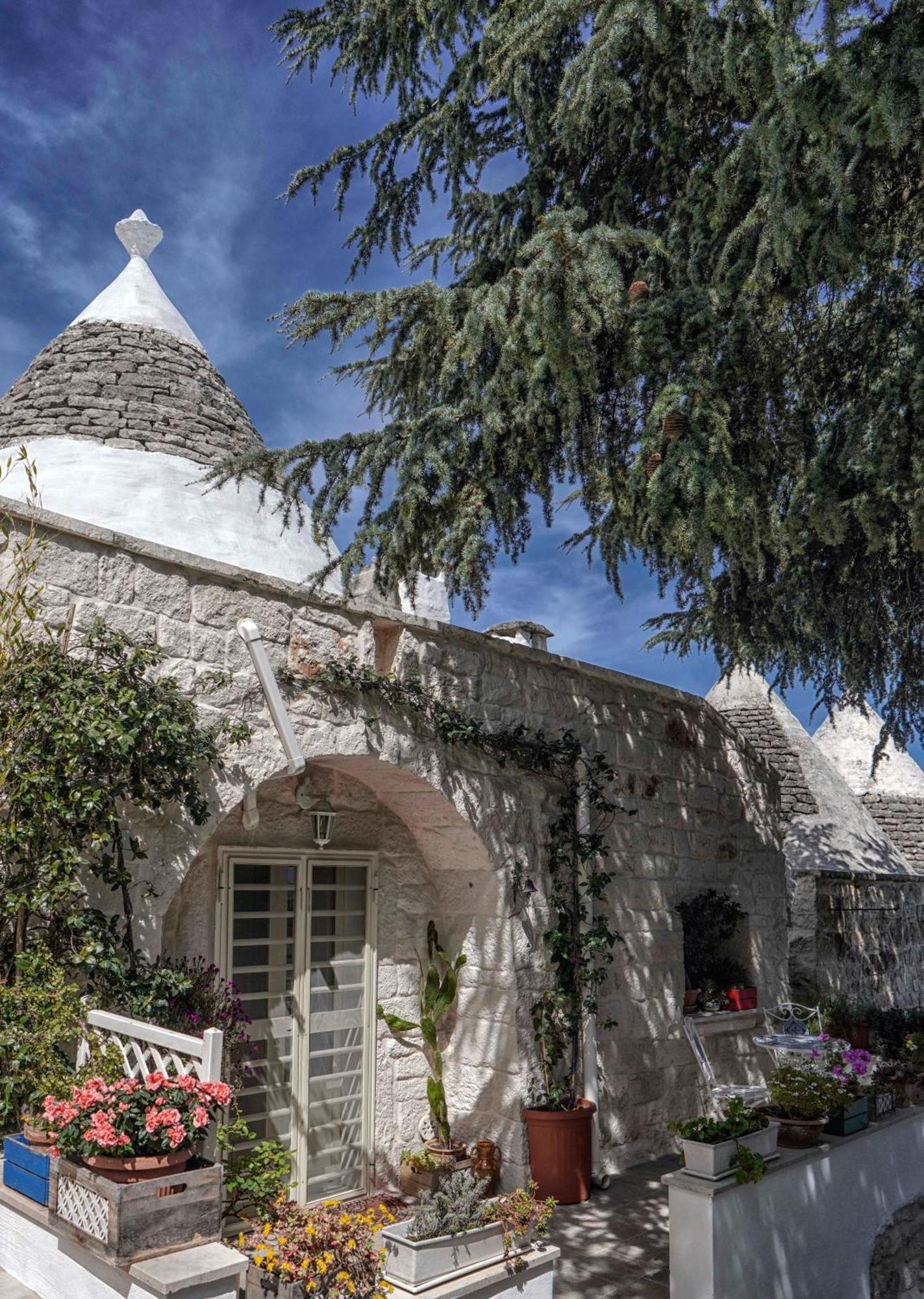 Trulli Di Puglia - Casa Vacanze In Valle D'Itria Мартина Франка Екстериор снимка